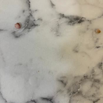 Şok Marketten Satın Aldığım Maydanozlu Köfte İçinde Kıkırdak Ve Kemik Parçaları