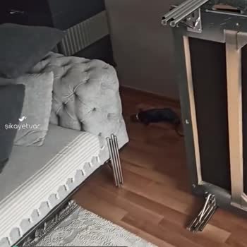 Arı Mobilya (İnegöl) Mükemmel Ötesi Deneyim!