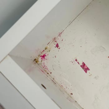 Ayz Ankara Temizlik Evin Her Köşesi Sözde Temizlenmiş Ama Fiilen Dokunulmamış Gibiydi