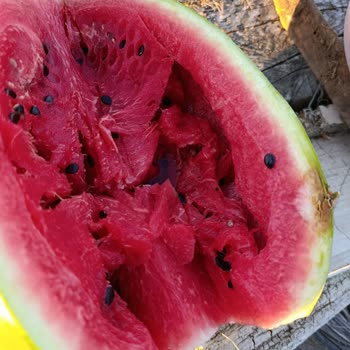 Carrefour Çatalca’da Bozuk Karpuz Ve İade Talebi