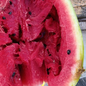 Carrefour Çatalca’da Bozuk Karpuz Ve İade Talebi