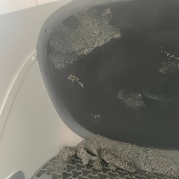 Ubpet C20 Otomatik Kedi Tuvaleti İdrar Mata Yapışıyor, Müşteri Desteği Cevapsız
