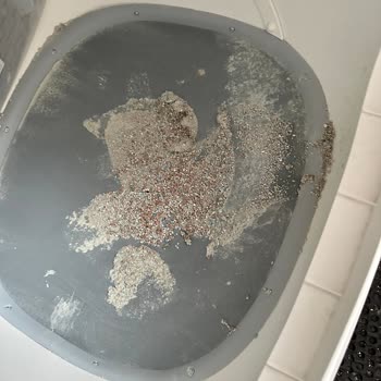 Ubpet C20 Otomatik Kedi Tuvaleti İdrar Mata Yapışıyor, Müşteri Desteği Cevapsız