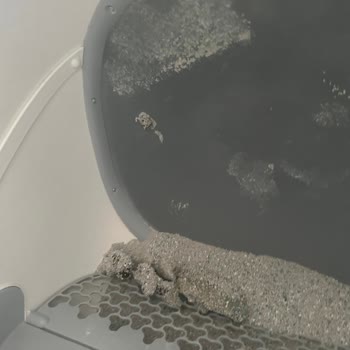 Ubpet C20 Otomatik Kedi Tuvaleti İdrar Mata Yapışıyor, Müşteri Desteği Cevapsız