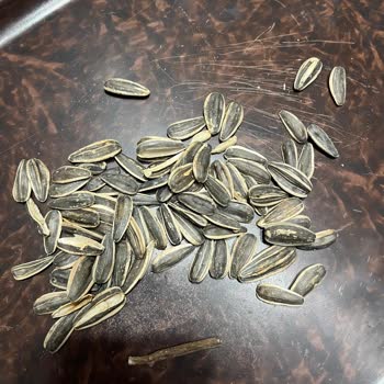 Tuzlu Çekirdekte Odun Parçaları Bulunması Sağlık Riskine Ve İade Talebine Neden Oldu