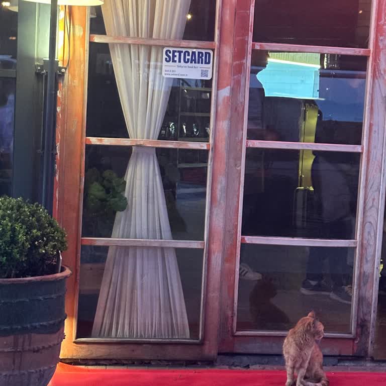 Sedcard Ödeme Yöntemi Yanıltıcı Şekilde Gösteriliyor, Kullanılamıyor