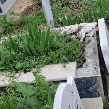Mezar Taşı Hasarı ve Onarım Talebi