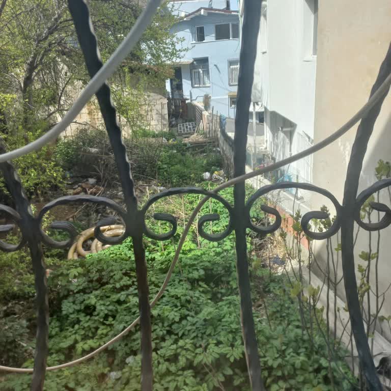 Sarıyer Belediyesi’nden Acil Bahçe Temizliği Ve Haşere Kontrolü Talebi