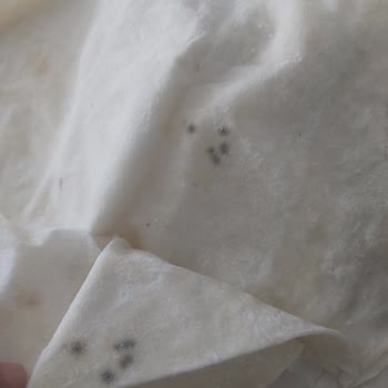 Küflü Yufka İçin Getir'den Para İadesi Bekliyor