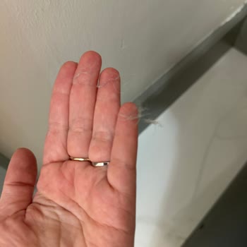 Geç Gelen Ve Yetersiz Temizlik Hizmeti Nedeniyle Memnuniyetsizlik Ve Ücret İadesi Talebi