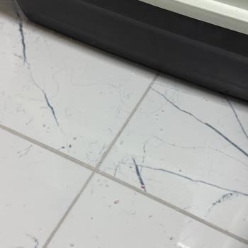 Geç Gelen Ve Yetersiz Temizlik Hizmeti Nedeniyle Memnuniyetsizlik Ve Ücret İadesi Talebi