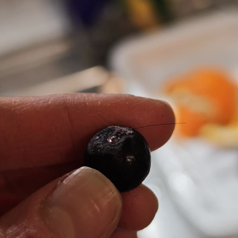 Lavi Gıda Dondurulmuş Üründe Saç Bulunması Ve Hijyen Denetimi İsteği