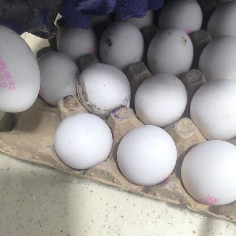Kırık Yumurta Ve Değiştirilen Son Kullanma Tarihi