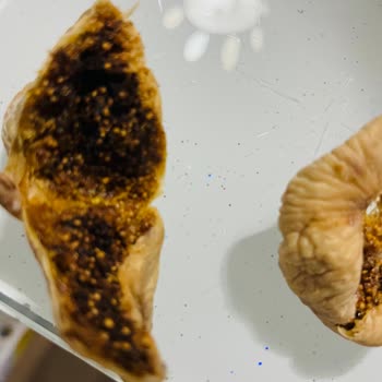 Mantar Ve Solucanlı Dağ İnciri İçin İade Ve Özür Talebi