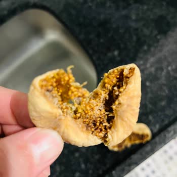 Mantar Ve Solucanlı Dağ İnciri İçin İade Ve Özür Talebi