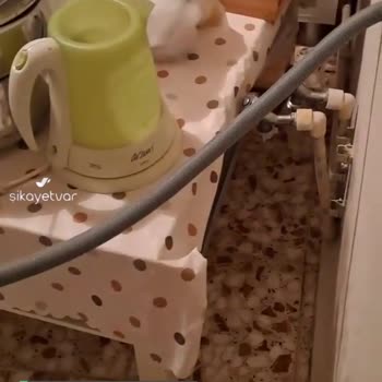 Gezen Çamaşır Makinesi Vestel Cmı108322