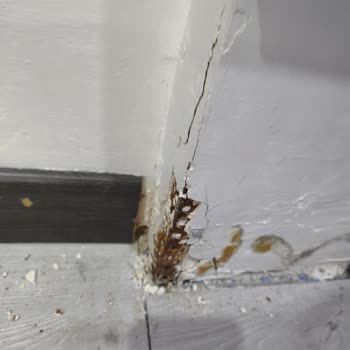 Düşük Sigorta Tazminatı Ve Hasar Değerlendirmesinin Yeniden İncelenmesi Talebi