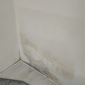 Düşük Sigorta Tazminatı Ve Hasar Değerlendirmesinin Yeniden İncelenmesi Talebi