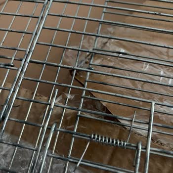 Paslı, Kırık Ve Yanlış Ürün, Otomatik Onayla İade Reddi