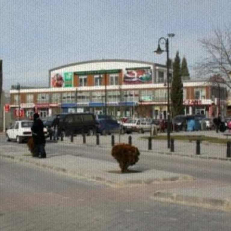 Arifiye Hattında Sefer Düzensizliği Ve Çözüm Masası’nın Ciddiyetsiz Yaklaşımı