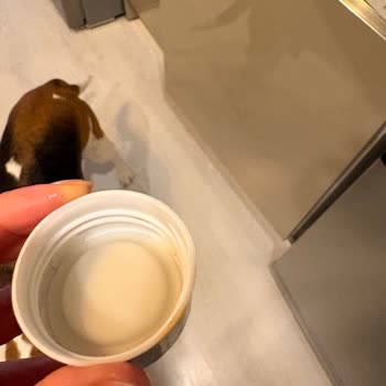 Rakle Cam Şişe Kapaklarında Paslanma, Migros Ve Marka Destek Vermiyor