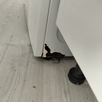 Kısa Sürede Kireç, Koku Ve Boya Dökülmesi Nedeniyle Çamaşır Makinesi Değişimi İsteği