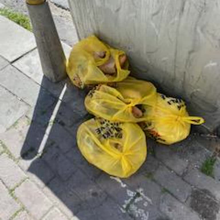 Şok Market Şubesinde Günlük Ekmek İsrafı