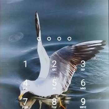 TeknikEvim Ekranındaki Beyaz Işıklar Ve Saygısız Satıcı Davranışı