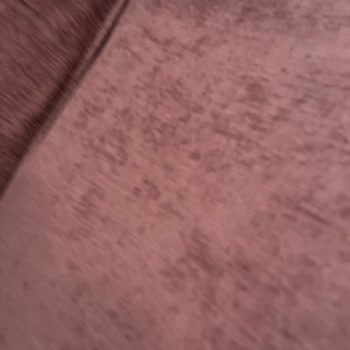 Kuryenin Üslup Sorunu Ve Teslim Etmemesi