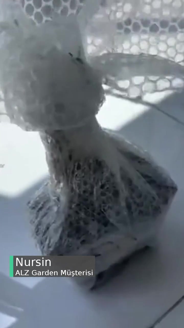 Alz Garden Üzerinden Aldığım Yaban Mersinleri Yalan Çıktı! videonun kapak resmi