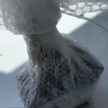 Alz Garden Üzerinden Aldığım Yaban Mersinleri Yalan Çıktı!