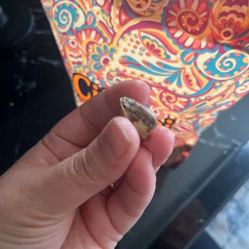 Küflü Lüks Karışık Kuruyemişte Sağlık Endişesi