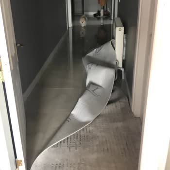 Horoz Lojistik Teslimatında Personelin Uygunsuz Tutumu Ve Kurutma Makinesi Hasarı