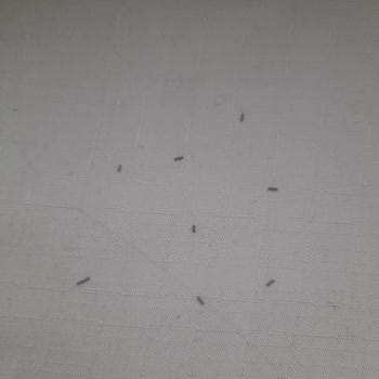 Faber-Castell Grip Kaleminde Uç Kırılması Sorunu Hayal Kırıklığına Yol Açıyor