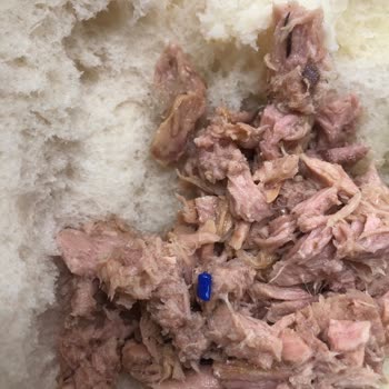 Migros Ton Balığında Plastik Yabancı Madde: Güven İhlali Ve Kalite Kontrol Sorunu