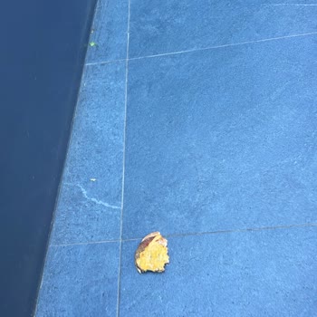Pendik McDonald’s Şubesinde Köfteburger Menüsü Bayat Ve Kötü Koku