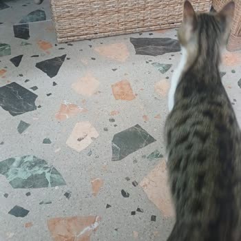 Horoz Lojistik'ten Eksik Koli Teslimatı: 3 Koli Olması Gereken Ürün Tek Koli Geldi