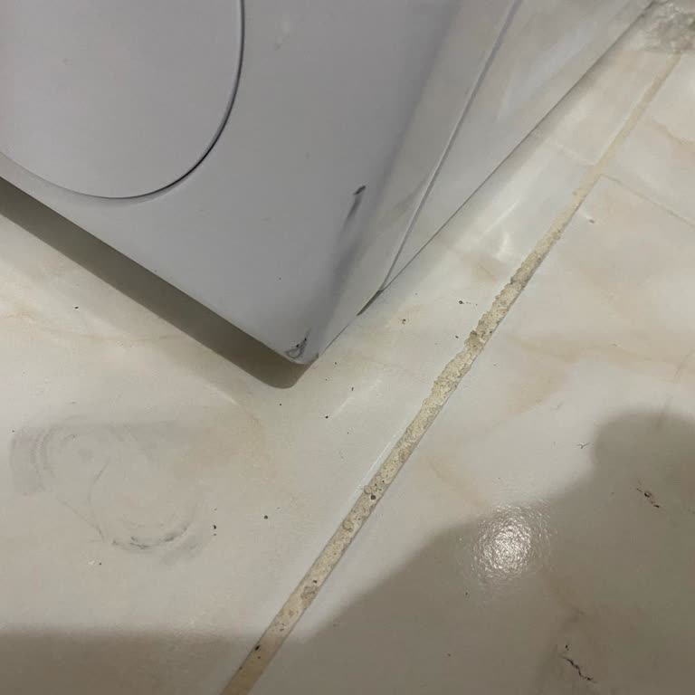 Arçelik Aşırı Gürültülü Çamaşır Makinesi Ve Çizikli Teslimata Rağmen Değişim Talebi