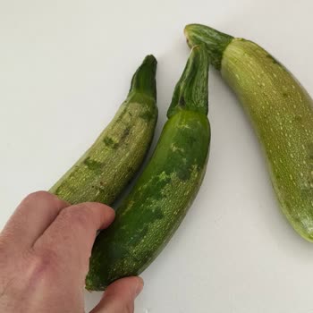 Vestel Nofrost Buzdolabının Soğutma Sorunları Ve Garantili Değişim Sonrası Çözüm Bulunamaması