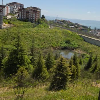 Barış Mahallesi Durgun Su Birikintisi Halk Sağlığına Ciddi Tehdit