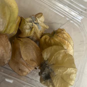 Migros Küflü Ürün İade Sürecindeki Gecikme ve Kurye Gelmemesi