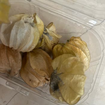 Migros Küflü Ürün İade Sürecindeki Gecikme ve Kurye Gelmemesi