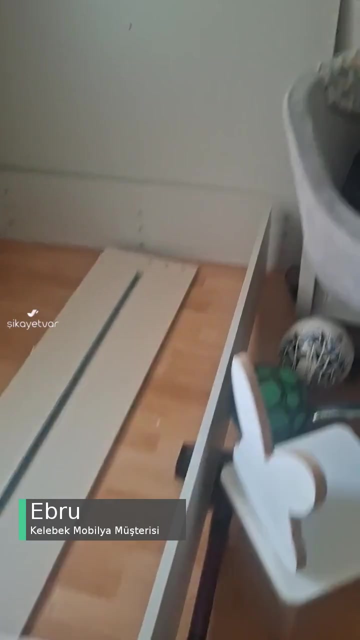 Kelebek Mobilya Durum Bu Şekilde! videonun kapak resmi