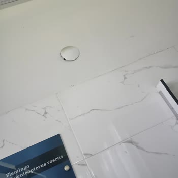 İzmir Doğal Yaşam Parkı’nda Sivrisinek Saldırısı Ve Kirli Tuvalet Şikayeti