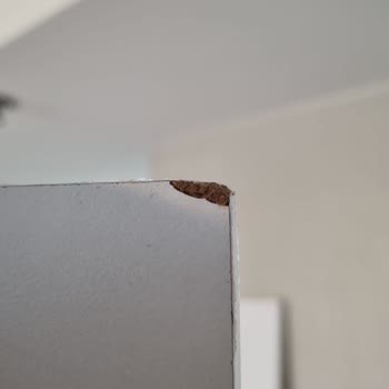 Rani Mobilya'dan Aldığım Dolap Kapakları Sürekli Hasarlı Gönderiliyor