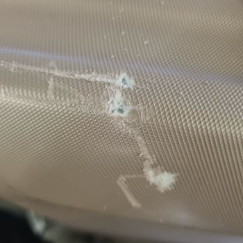 Pegasus Bagaj Hasarı Sürekli Tekrarlanıyor Ve Sabiha Gökçen Hizmetleri Yetersiz