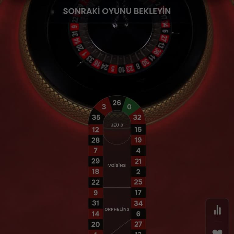 Kripto Para Yatırımı Sonrası Oyun Erişimi Sorunu Ve Geri Ödeme Talebi