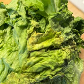 A101 Kapıda Hizmetinde Çürük Kıvırcık Marul Teslimi