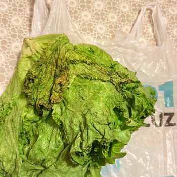 A101 Kapıda Hizmetinde Çürük Kıvırcık Marul Teslimi