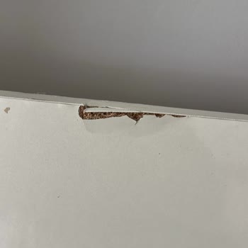 Horoz Lojistik'ten Gelen Mobilyalar Tamamen Hasarlı Ve İade İçin Cevap Yok